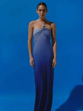 Baobab Collection | Dresses | 2s Nwt Baobab X Revolve Ari Maxi Dress In  Wine Ombre | Poshmark